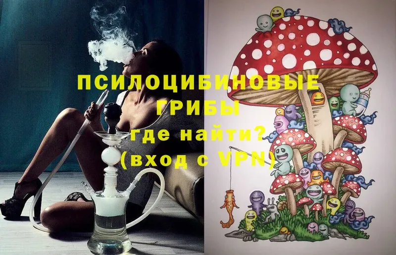 Галлюциногенные грибы Magic Shrooms  Сертолово 